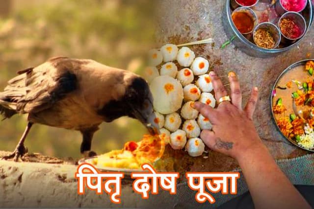 पितृ शांति एवं पितृ भागवत मूल पाठ एवं गरुण पुराण